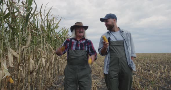 Happy Farmers Discussing Corn Harvest