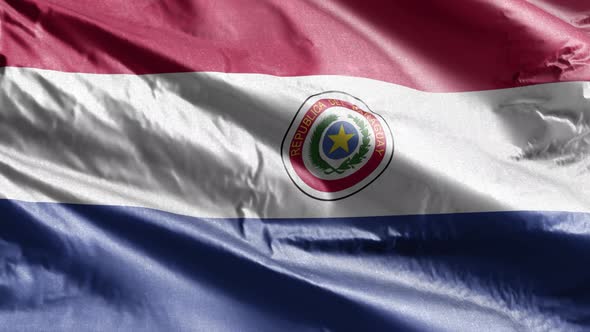 Paraguay textile flag waving on the wind. 10 seconds loop.
