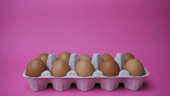 Eggs Appear Alternately in the Egg Tray  Time Lapse