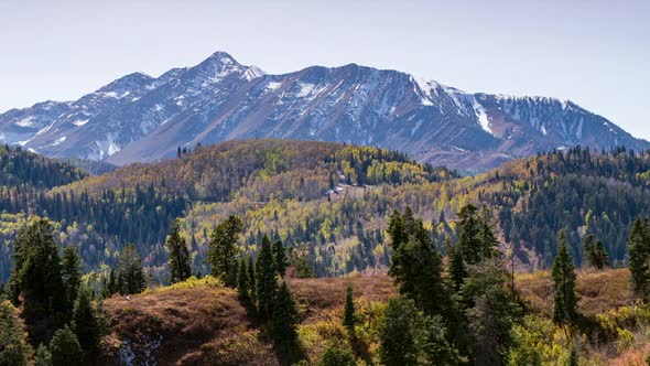 Flying towards pine trees on hilltop towards Mt. Nebo in Fall