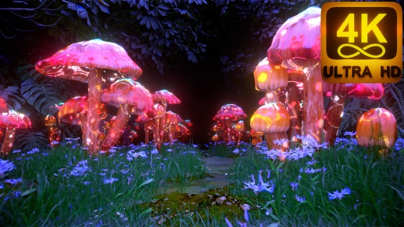 Trippy Magic Mushrooms Forest 3D Psychedelic 4K Trance Colorful Pattern Flowers Background Beautiful