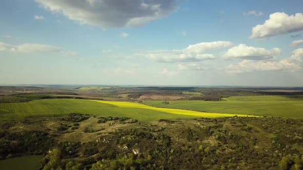 Aerial view of bright green and yellow agricultural farm field on hills with growing rapeseed