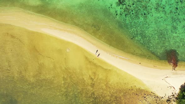 Aerial flying over tourism of exotic resort beach wildlife by blue sea and bright sandy background o