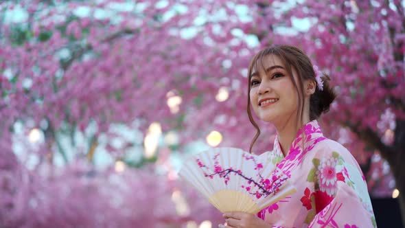 woman in yukata (kimono dress) holding folding fan and looking sakura flower