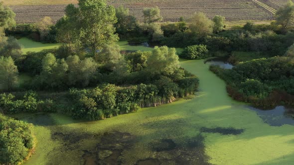 Flight Over A Beautiful Lake Dotted With Green Vegetation 20