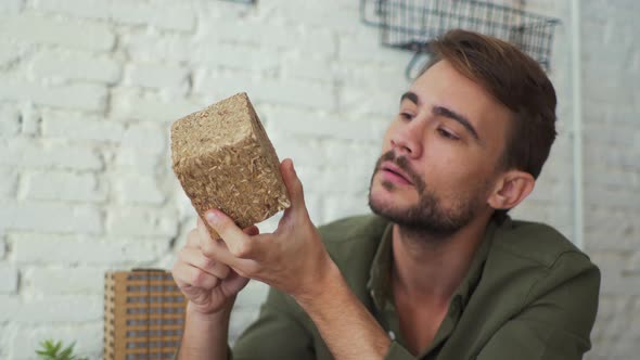 Architect holding block of pressed wood