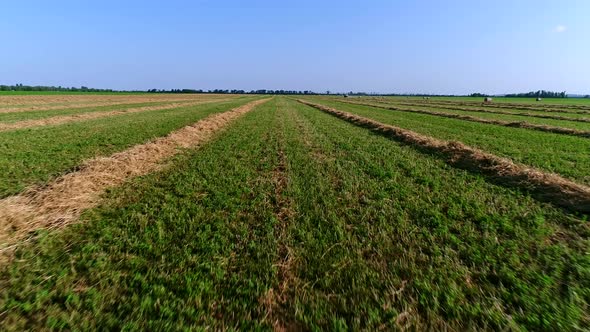 Aerial Green Field and Hay