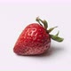 Strawberry decaying time lapse over 4 days - VideoHive Item for Sale