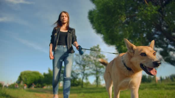 Attractive Young Woman in Jeans Leads Her Puppy for a Walk.