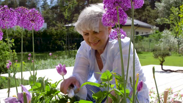 Senior Woman with Garden Pruner and Flowers 32