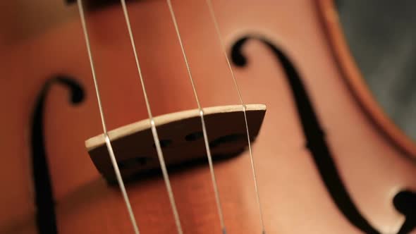 Part of aged violin on black background