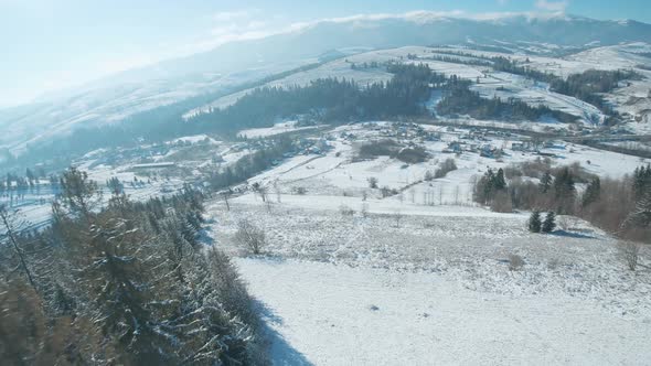 Aerial View of Snow Covered Trees in the Mountains in Winter