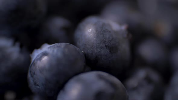 Detail of Blueberries. Macro Trucking Shot.  Resolution Top View.