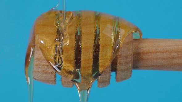 Honey Drips Closeup Macro From a Wooden Ladle