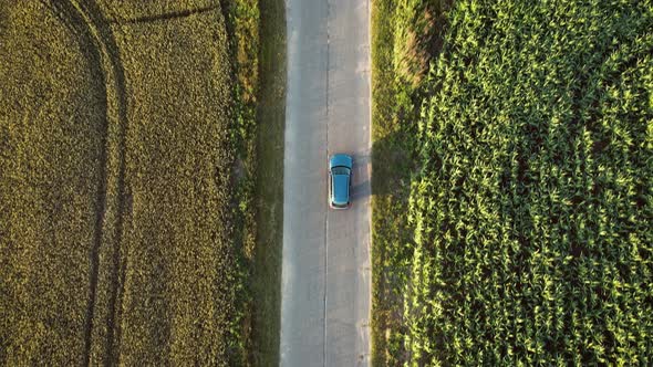 Car Is Going On The Road At Sunset From Agricultural Fields With Corn And Grain