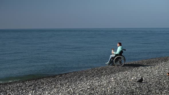 Caucasian Woman Sitting in a Wheelchair with a Dog on the Seashore