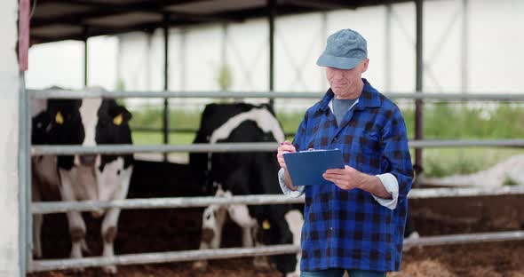 Agriculture Farmer Working on Cowsheed