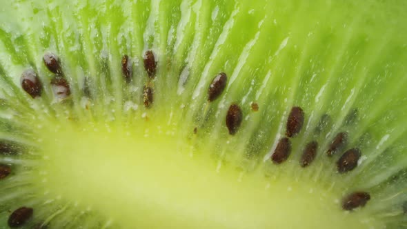 Panning macro view of kiwi seeds from cut fruit