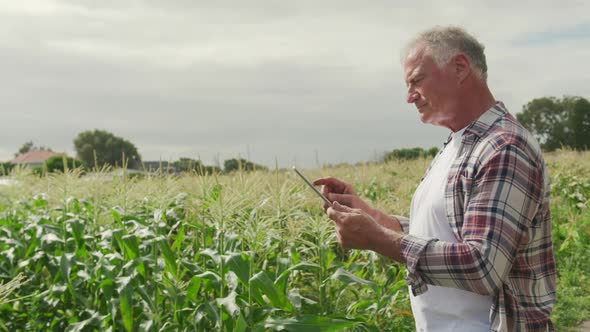 Mature man working on farm