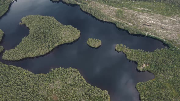 Norwegian forest lakes and forest