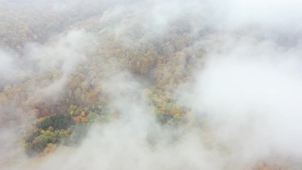 Aerial Drone Flying Through Clouds Sky Over Autumn Forest