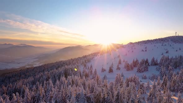 Magic View Sunrise Winter Frozen Nature Forest Mountain Landscape