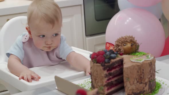 Baby Celebrate First Birthday Holiday Cute Small Child Trying to Reach the Cake One Year Old Kid