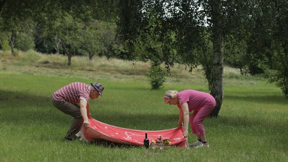 Family Weekend Picnic. Active Senior Old Caucasian Couple Sit Down on Blanket on Green Grass Meadow