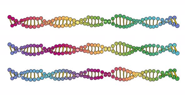 Color Visualization of DNA Analysis Isolated on White Background 3d Rotation Animation for Montage