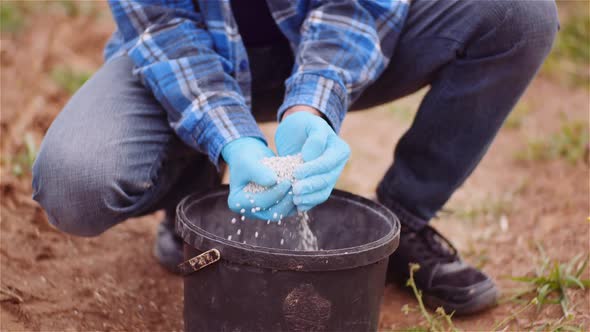 Farmer Examining Herbicides Fertilizer in Hands Before Fertilizing Agriculture Field