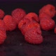 Raspberries Rotating Over Black Background. Fruit,  Raspberries, Berries - VideoHive Item for Sale