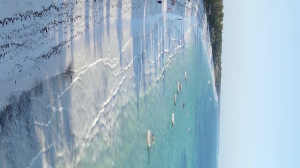 Vertical Video of the Beach on Zanzibar Island Tanzania Aerial View