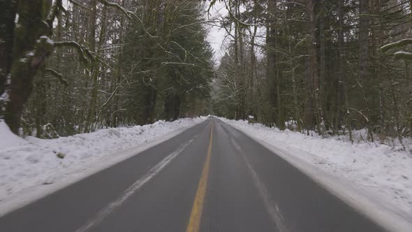 Scenic Road in the Canadian Nature Forest with Snow During Winter