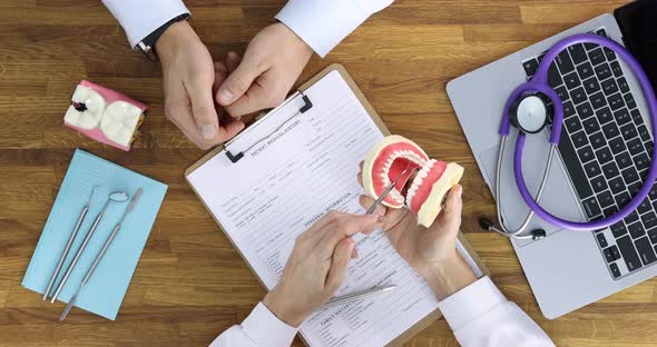 Dentist Holds Model of Human Jaw and Advises Patient