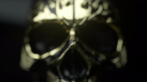Human Skull with Gold Accents Closeup