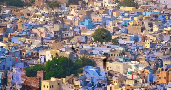 Houses of Famous Jodhpur the Blue City and Birds, View From Mehrangarh Fort, Rajasthan, India