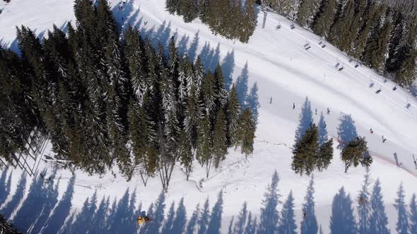 Aerial Ski Slopes with Skiers and Ski Lifts on Ski Resort in Snowy Fir Forest