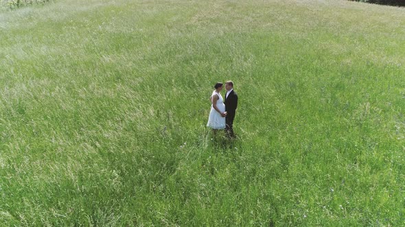 Happy groom and pregnant bride dancing on a summer meadow