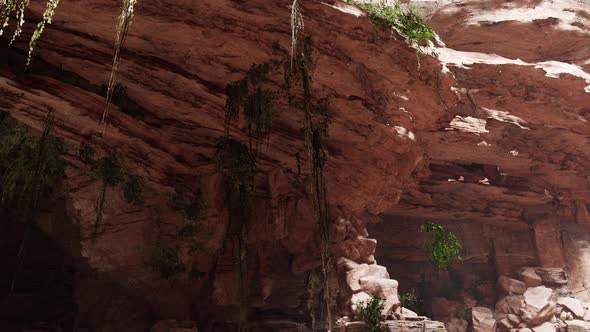 Inside a Limestone Cave with Plants and Sun Shine