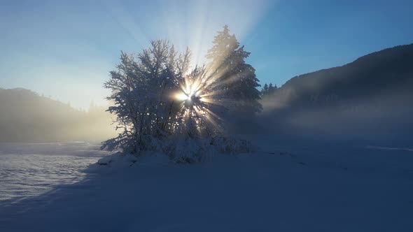 Beautiful winter morning with fresh snow and fog