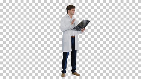 Male doctor checking computed tomography, Alpha Channel