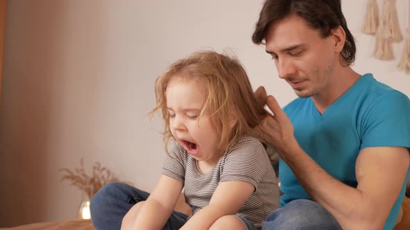 Dad Combs His Daughter's Hair Little Baby Girl on Bed in Bedroom