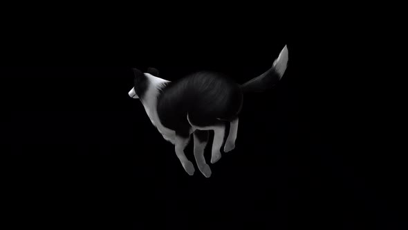 Sheep Dog Run View From Back Side alt