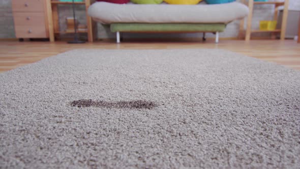 Young Woman Walks Across the Carpet and Leaves a Dirty Trail