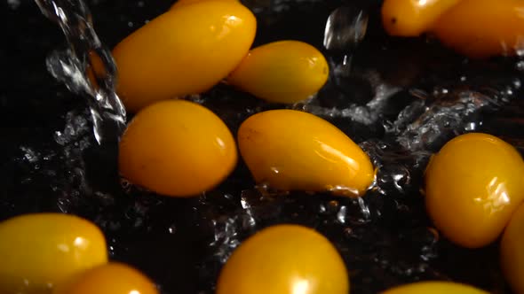 Washing tomatoes. On a black background.