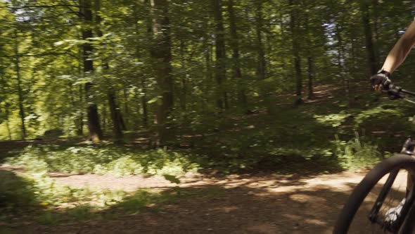 Mountain Biker Cycling On Dirt Track In Forest