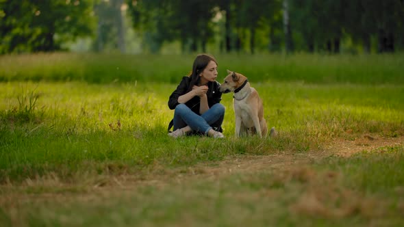 A Young Girl in a Park Communicates with Her Dog, Petting Head, Scratches Behind Her Ear
