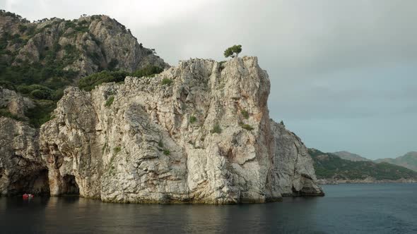 White rock near the sea with trees on it