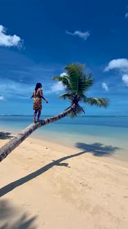 Mahe Seychelles Tropical Beach with Palm Trees and a Blue Ocean at Mahe Seychelles Anse Royale Beach