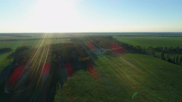 Aerial View Huge Rubbish Dump in Summer at Sunset or Sunrise Around the Forest